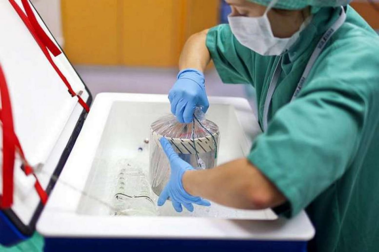 
											
											Продажа членов и тканей Узбеков иностранному гражданину была запрещена
											
											