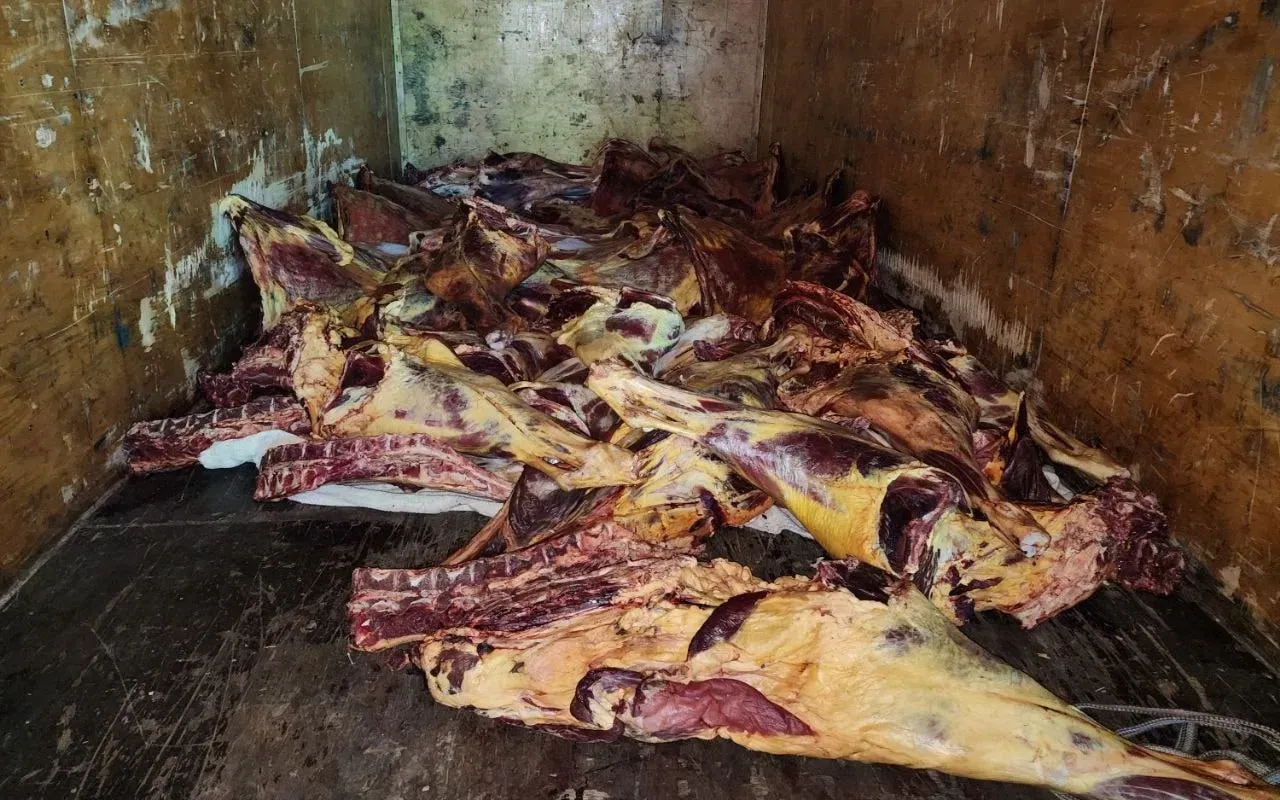 
											
											Сирдарёда салкам 1 тонна номаълум ҳайвон гўшти аниқланди
											
											