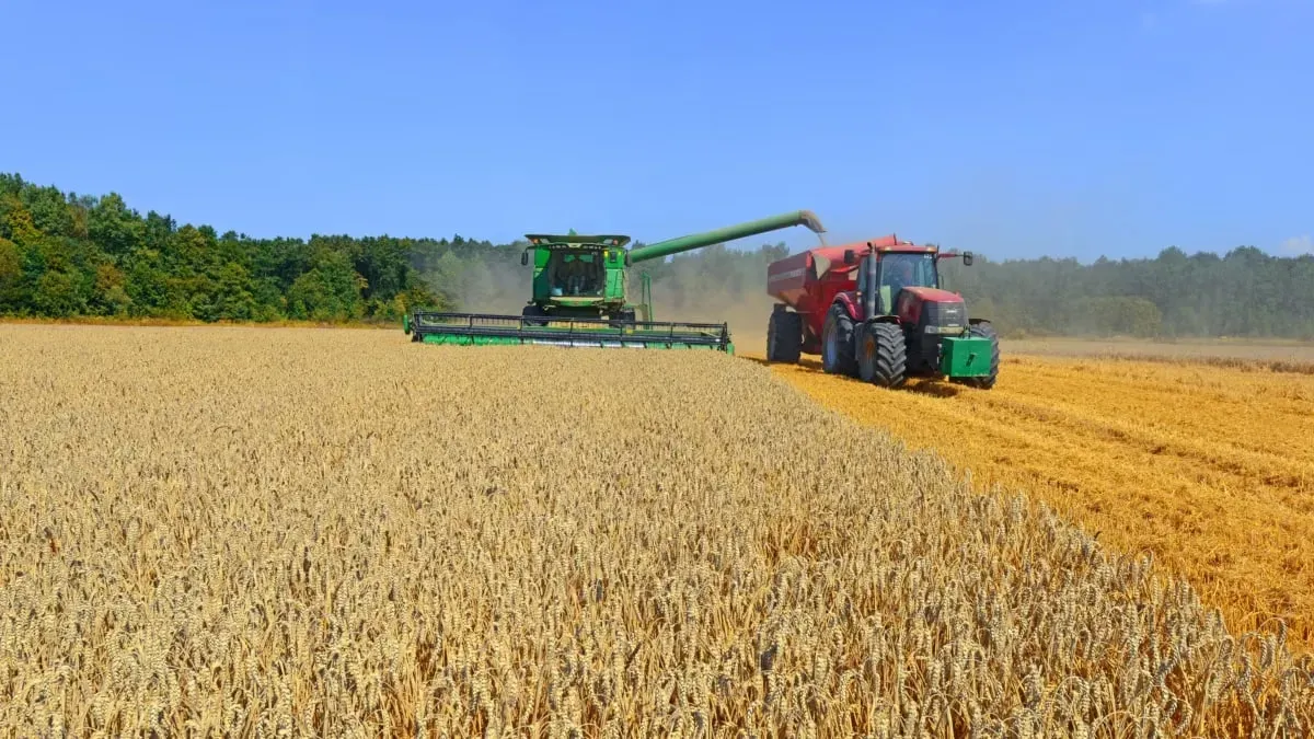 
											
											Birjada bug‘doy narxi pasayishni boshladi
											
											