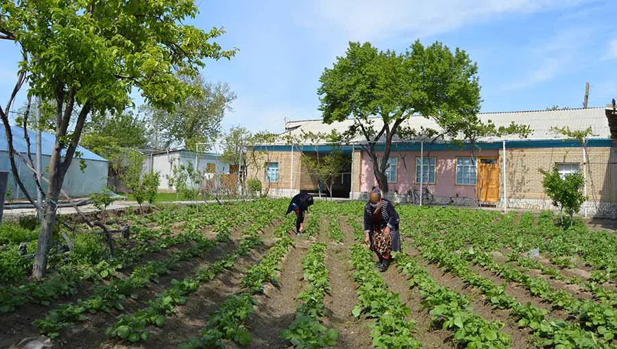 
											
											Энди томорқадан самарасиз фойдаланганларга чора кўрилади
											
											