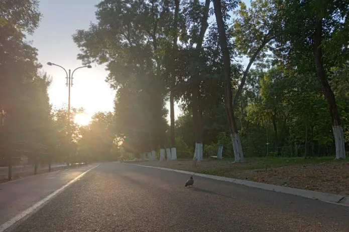 
											
											Эртага ҳаво ҳарорати 40 даражагача кўтарилади
											
											