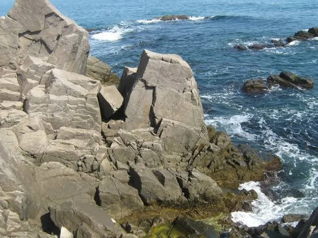 
											
											Болгарияда чўкиб кетган ўзбекистонлик ватанга қайтарилади
											
											