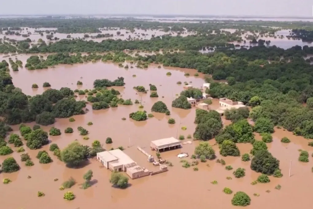 
											
											Покистоннинг Панжоб вилоятида юз берган сув тошқинларида 97 киши ҳалок бўлди
											
											