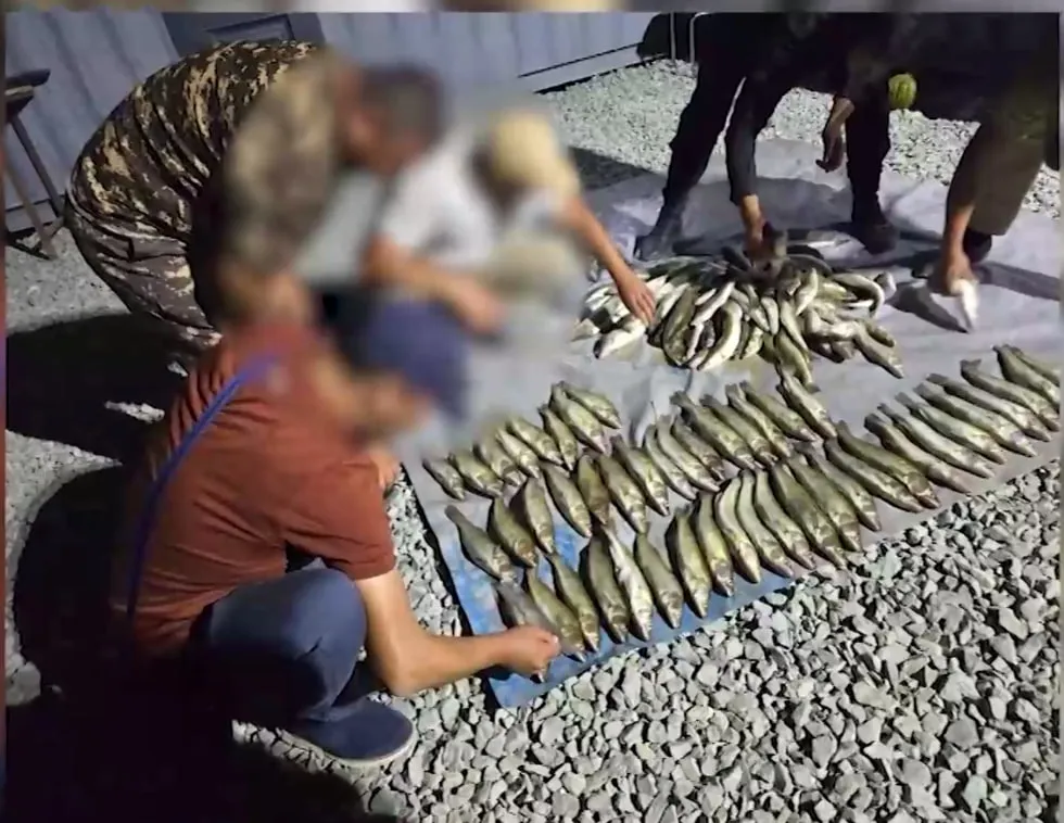 
											
											O‘zbekistonda bir oyda tabiatga 46,7 mlrd so‘mlik zarar yetkazildi
											
											