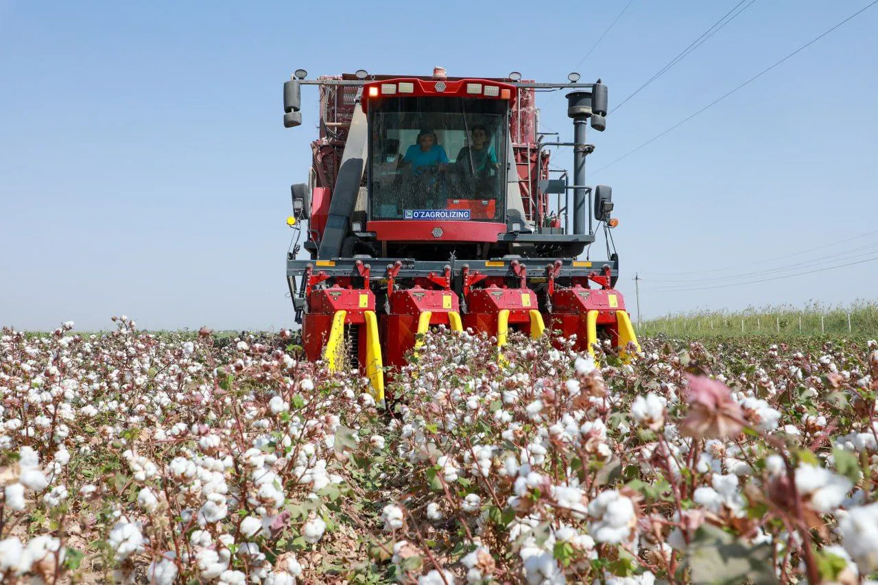 
											
											Сурхондарё пахта “план”ини бажарди
											
											