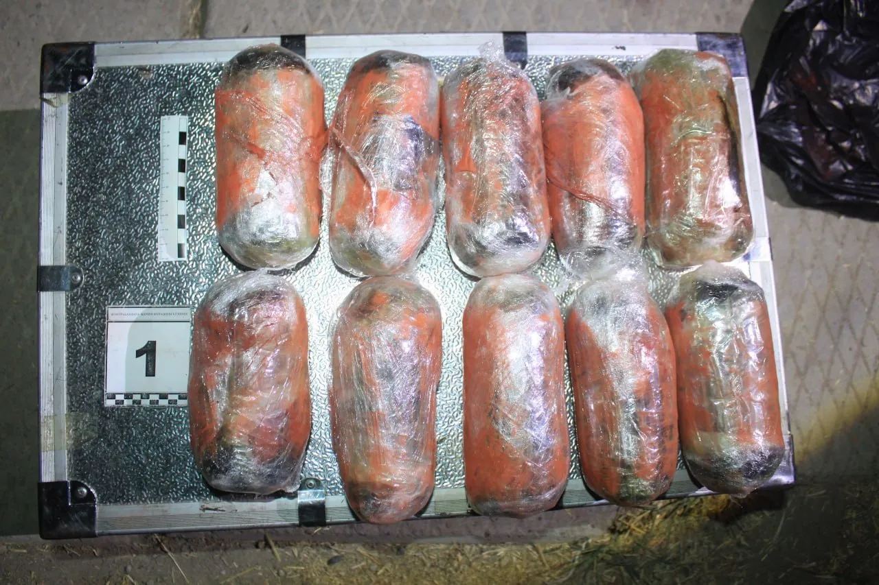 
											
											Toshkent viloyatida qariyb 5 kg “opiy” topildi
											
											