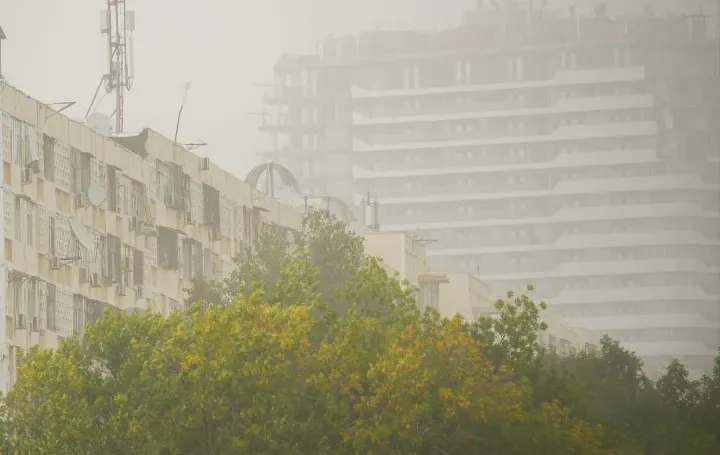 
											
											Ekologiya qo‘mitasi qurilish tashkilotlariga qat’iy ogohlantirish berdi
											
											
