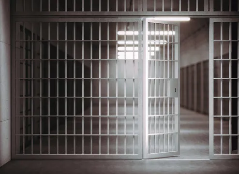 
											
											O‘zbekistonda Navro‘z va Ramazon hayiti arafasida 392 nafar shaxs afv etildi
											
											