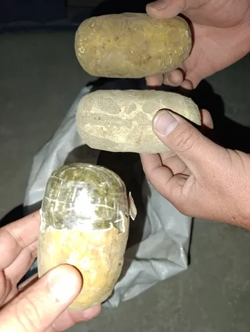 
											
											Картошка кўринишида ниқобланган 72 кг наркотик модда фош қилинди
											
											