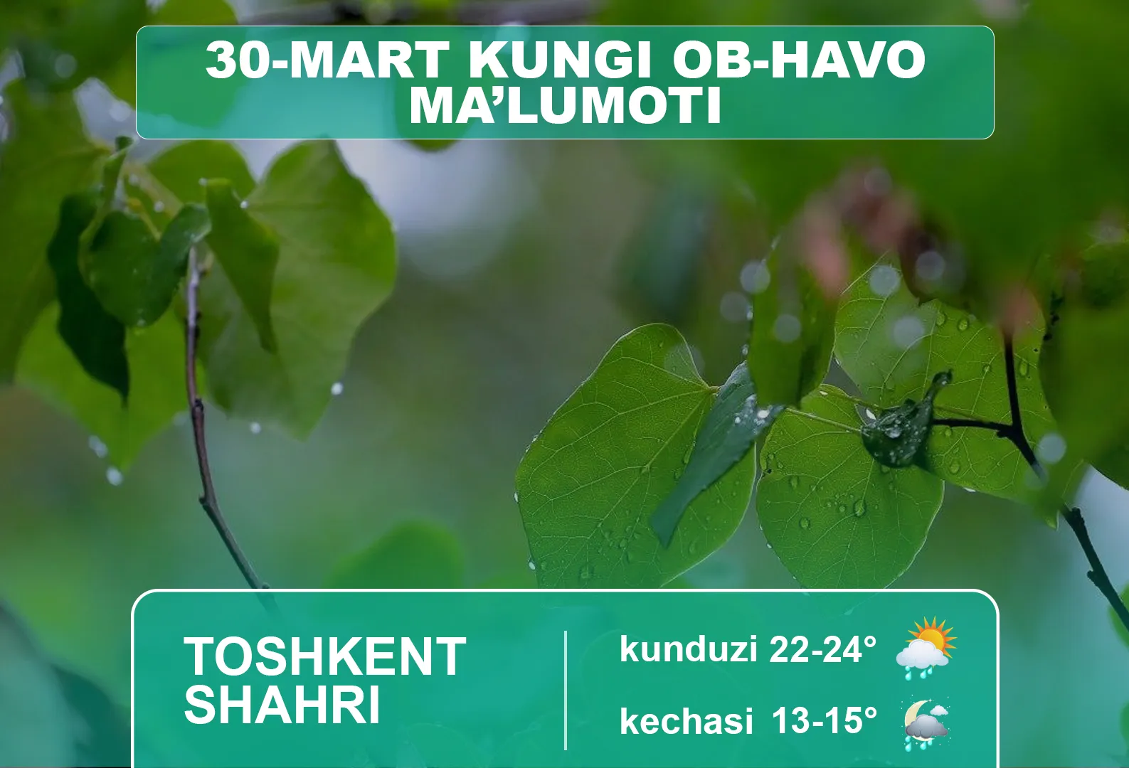 30-mart kungi ob-havo ma’lumoti