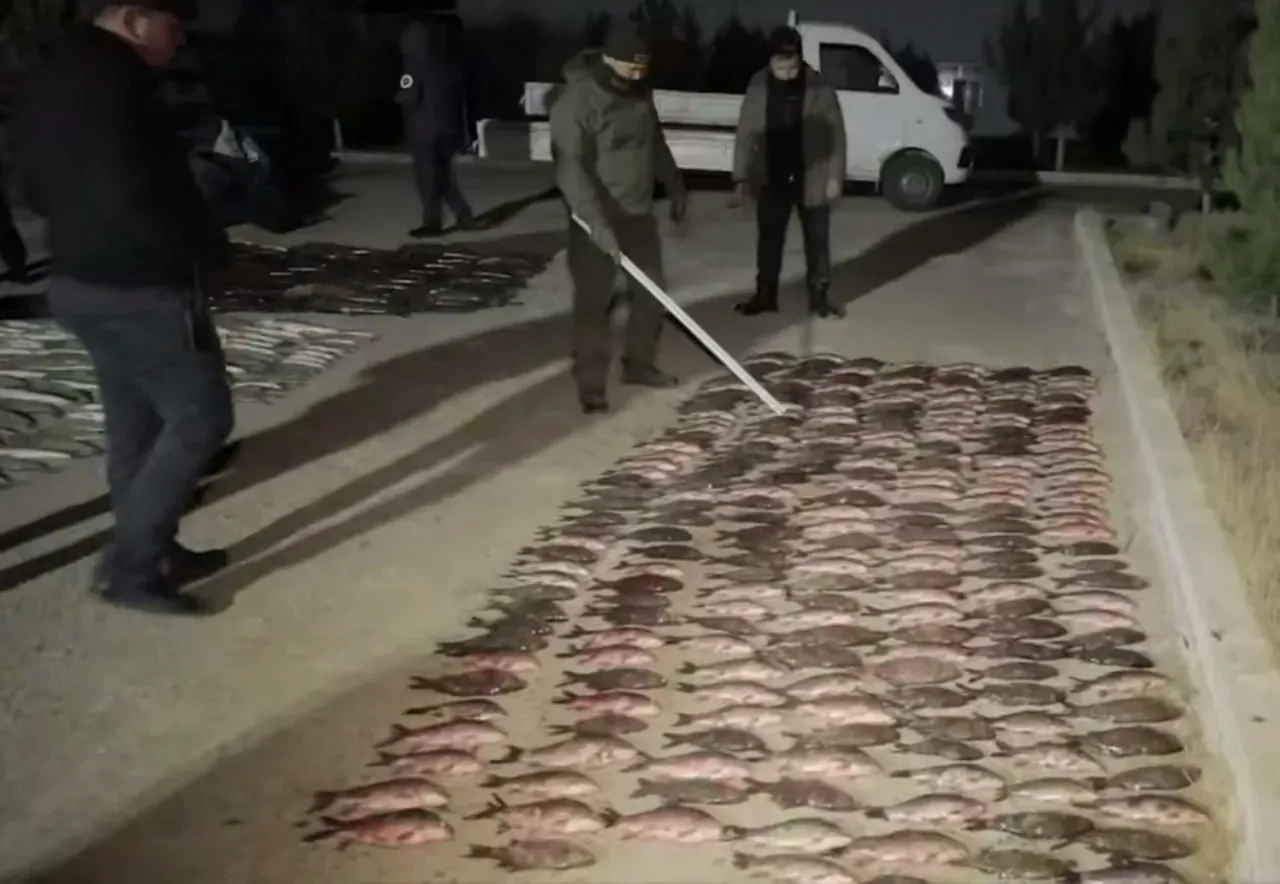 
											
											Navoiyda noqonuniy baliq ovi ortidan hayvonot dunyosiga 680 mln so‘m zarar yetkazildi
											
											