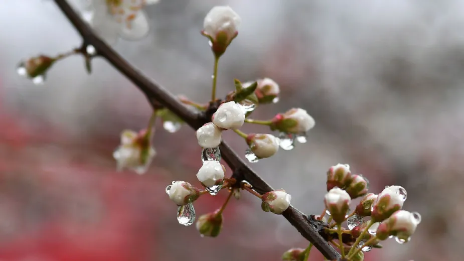 
											
											Ўзбекистонда ҳафта бошида ёмғирли об-ҳаво кутилмоқда
											
											