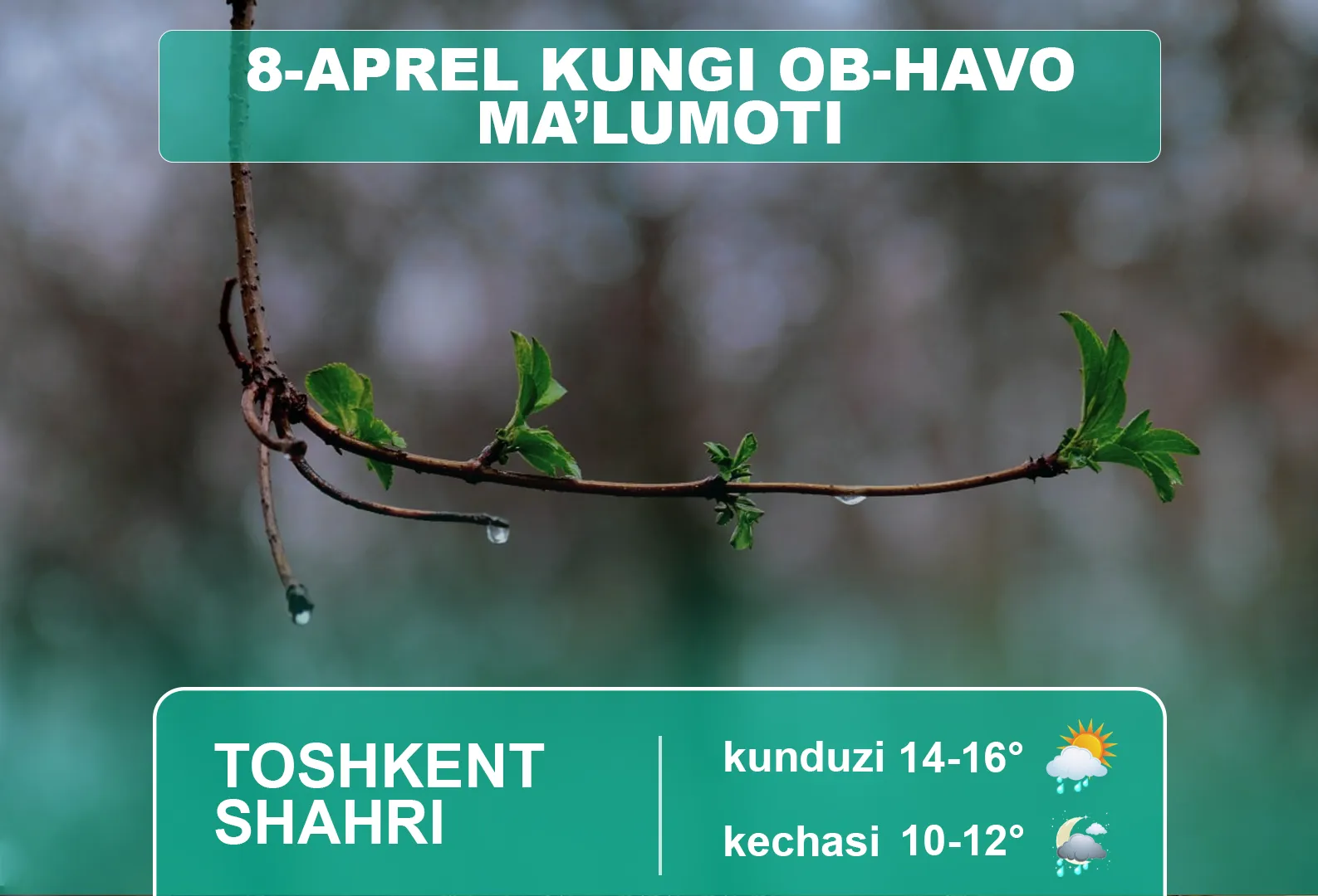 8-aprel uchun ob-havo ma’lumoti