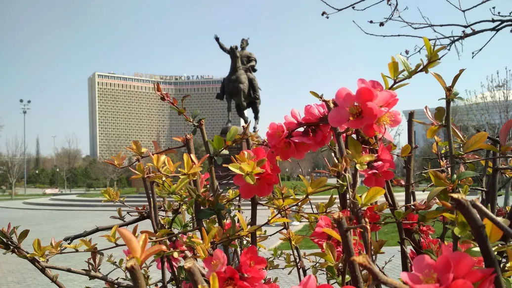 
														
														Дам олиш кунларида қандай об-ҳаво кузатилади?
														
														