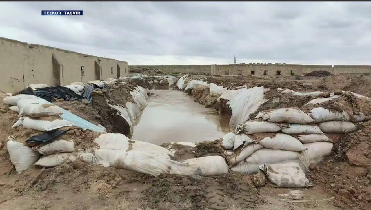 
														
														Навоийда ноқонуний олтин қазиб олувчилар аниқланди
														
														