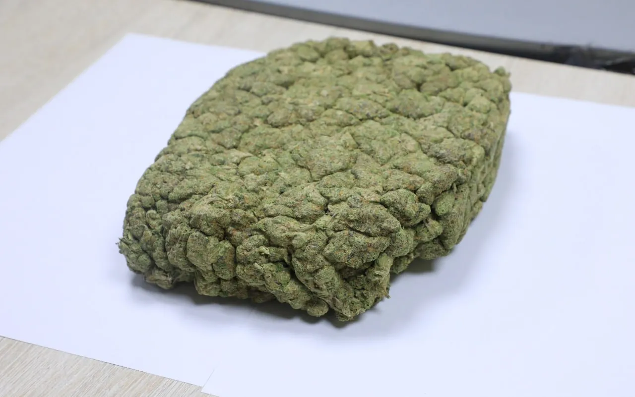 
														
														Пойтахт аэропортида 6,3 кг. “марихуана”ни олиб киришга уринган хорижий йўловчи тўхтатиб қолинди
														
														