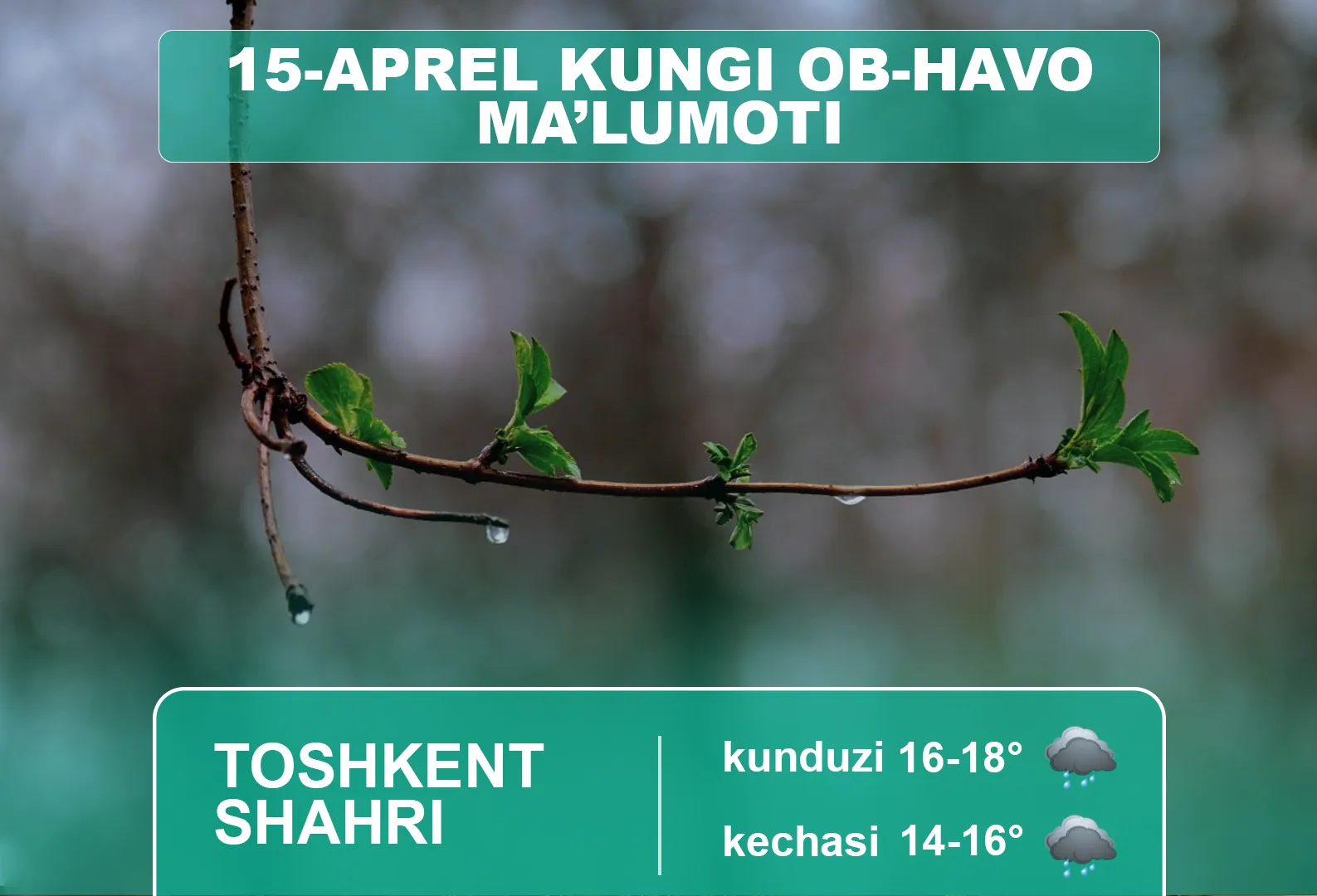 15-aprel kuni qanday ob-havo kuzatiladi?