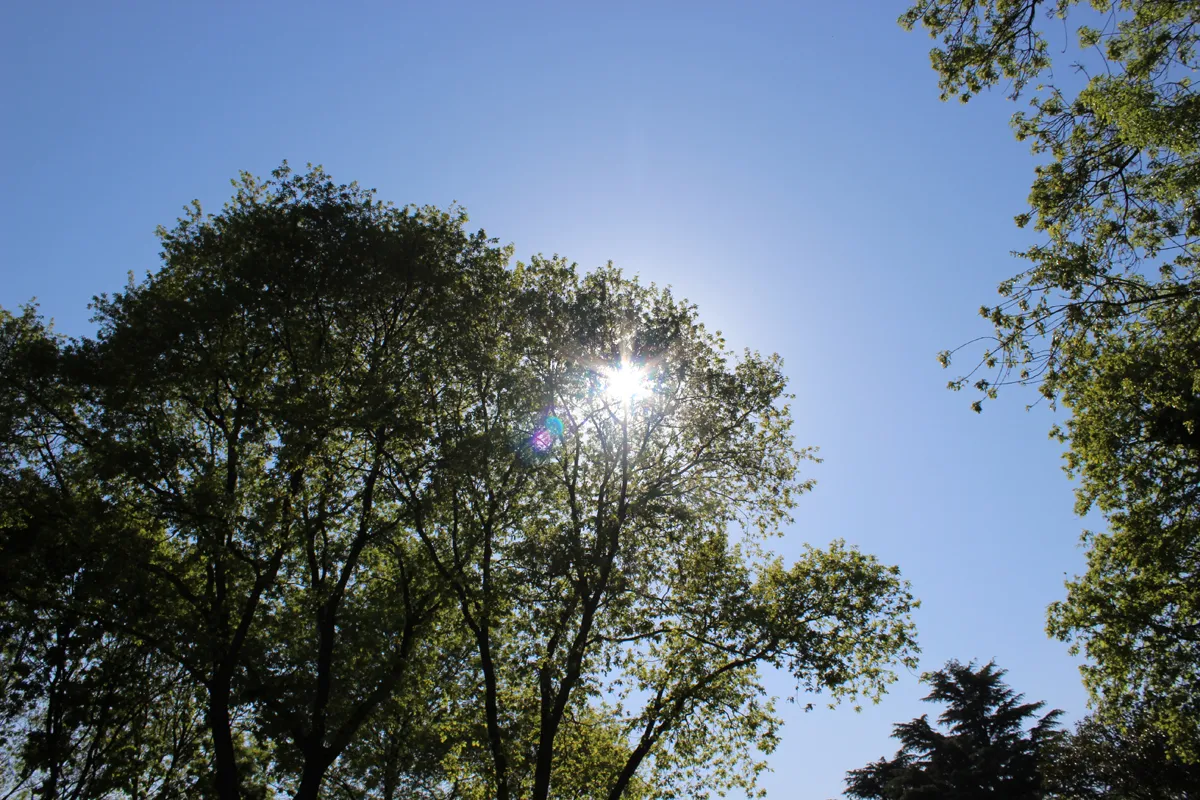 
														
														Дам олиш кунлари Ўзбекистонда 35 даражагача иссиқ бўлиши кутилмоқда
														
														