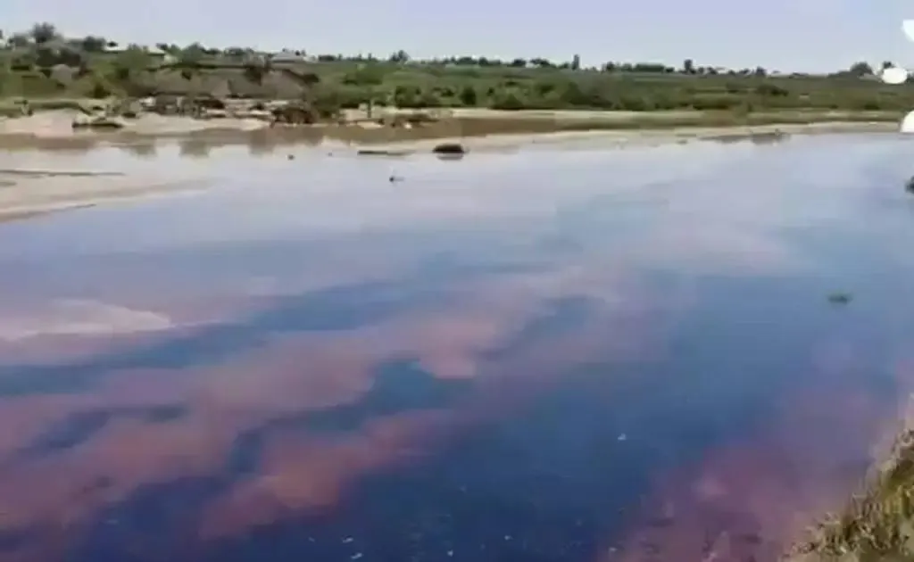 Sel ortidan neft Surxondaryo daryosiga qo‘shilgani aniqlandi