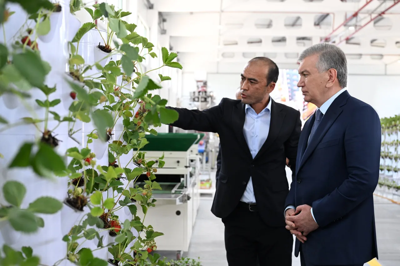 Aholi oʻn sotixdan 250 million soʻmgacha daromad olishga oʻqitilmoqda