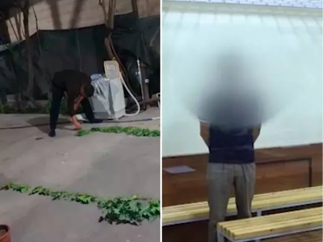 
														
														Farg‘onada gashish sotgan 19 yoshli yigit 8 yilga ozodlikdan mahrum qilindi
														
														