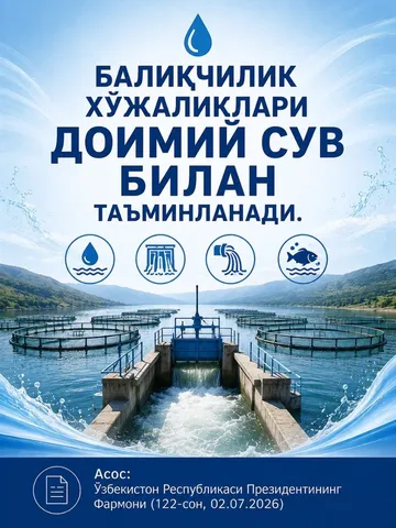 Балиқчиликда янги давр: тадбиркорлар учун субсидиялар, электрон аукцион ва янги имкониятлар