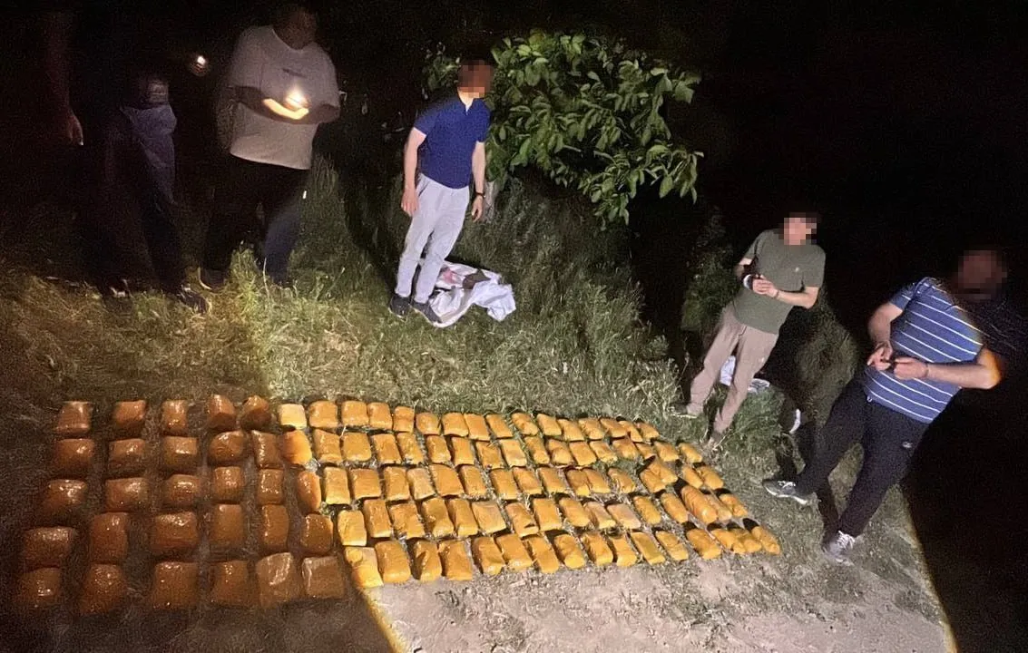 Qibrayda qariyb 95 kilogramm “gashish” savdosiga chek qo‘yildi