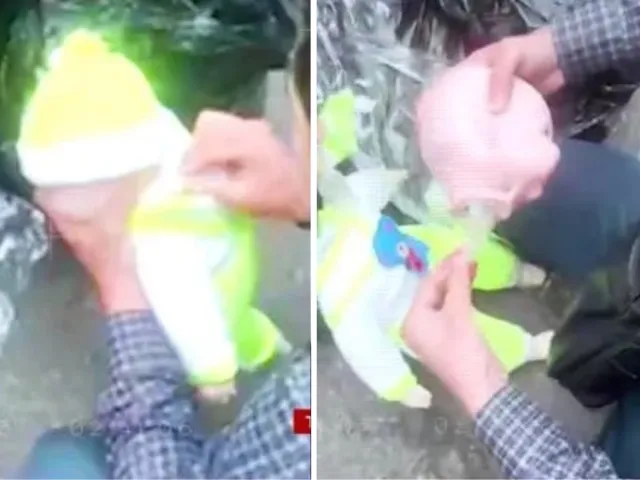 Qizil kitobga kiritilgan qo‘ng‘ir ayiqni ovlaganlarga jinoyat ishi qo‘zg‘atildi