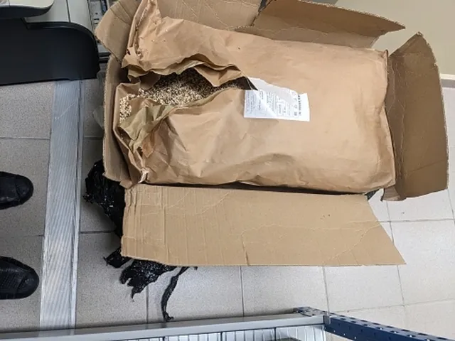 
														
														Rossiyada O‘zbekistonga olib ketilayotgan 31 kg qo‘ziqorindan seziy-137 aniqlandi
														
														